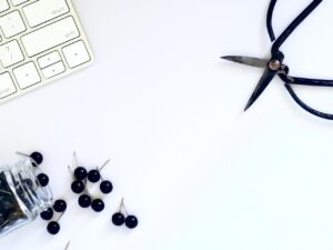 ペットロスに関するブログでよくあるある記事は？