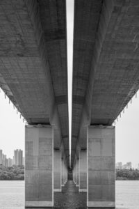 虹の橋の実話とはどのようなものなの？