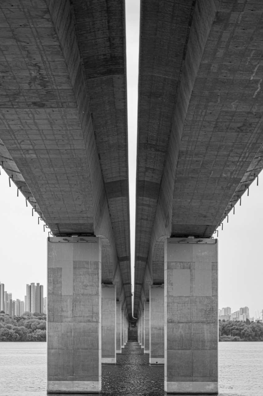 虹の橋の実話とはどのようなものなの？