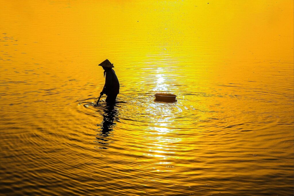 ペットの安楽死を選んだ後悔は消えないのか？