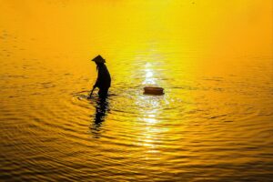 ペットの安楽死を選んだ後悔は消えないのか？