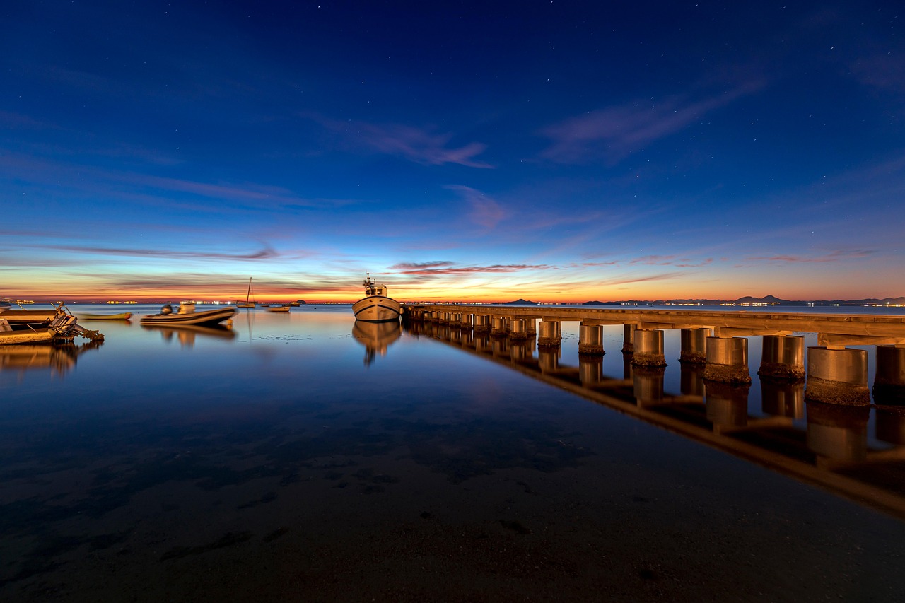 ペットロスをSNSで辛くなる理由とは？