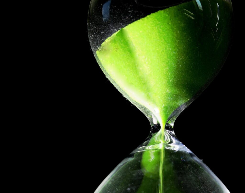 ペットロスを乗り越えるために見たくなる写真のタイミングは？