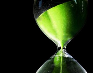 ペットロスを乗り越えるために見たくなる写真のタイミングは？